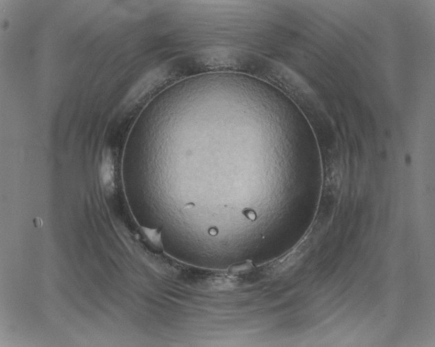 X0000067830124200604131210