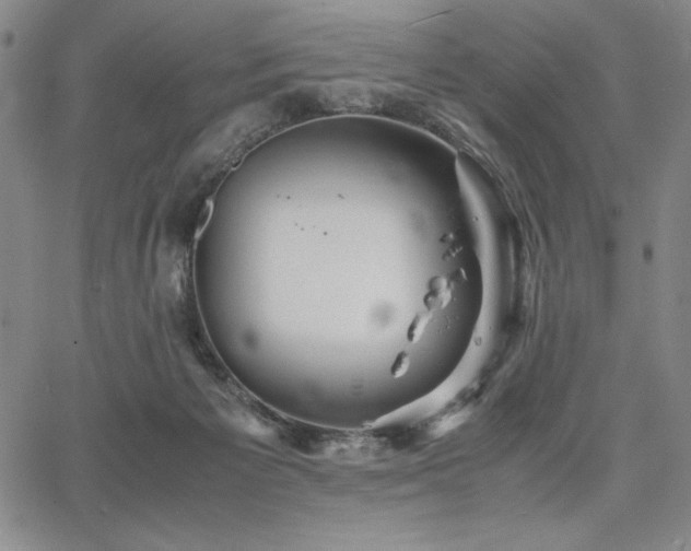 X0000067830125200604131210