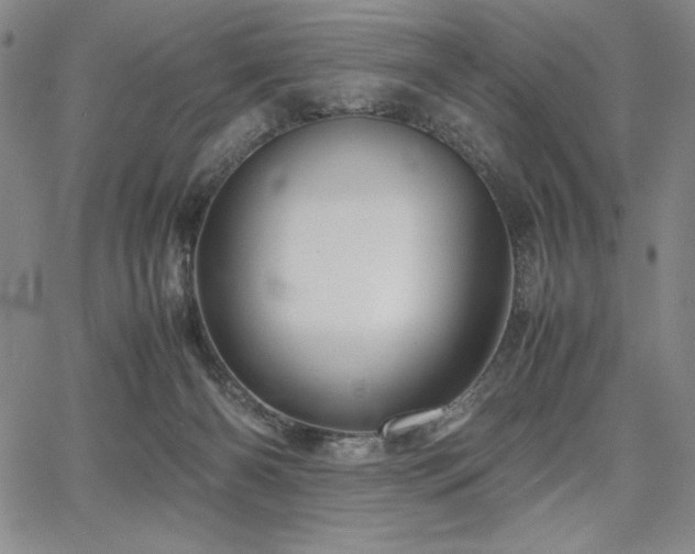 X0000067830126200604131210