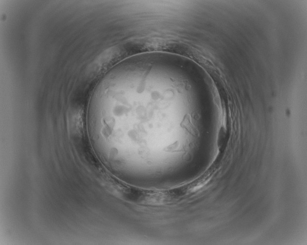 X0000067830127200604131210