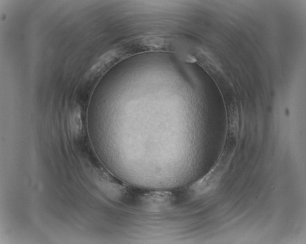 X0000067830128200604131210