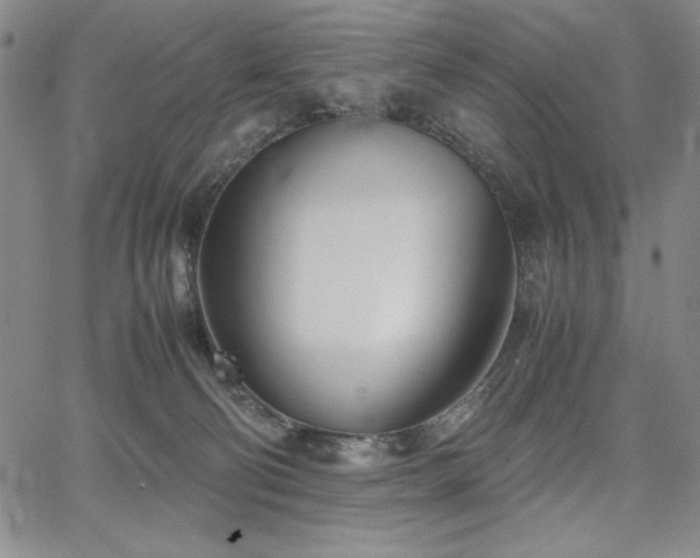 X0000067830130200604131210