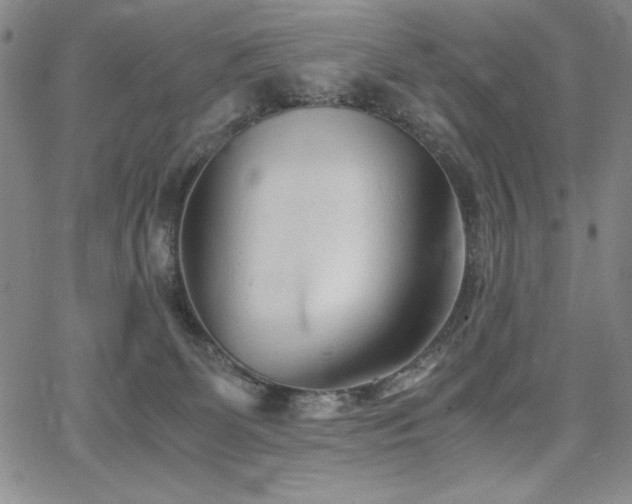 X0000067830131200604131210