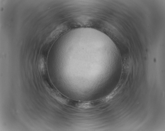 X0000067830132200604131210