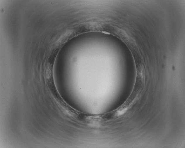 X0000067830133200604131210