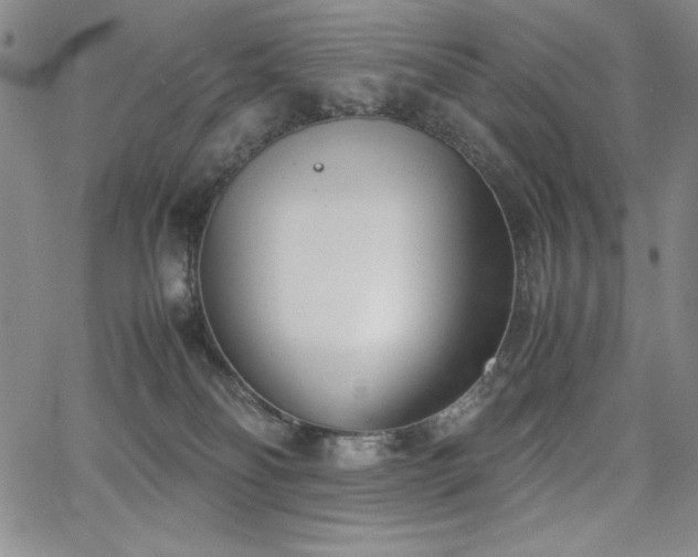 X0000067830134200604131210