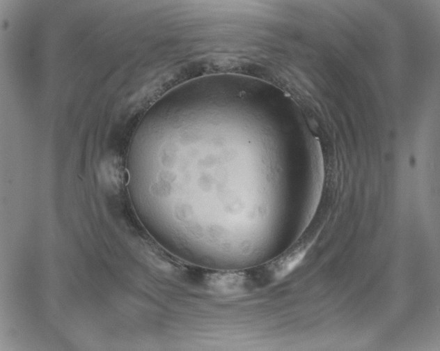 X0000067830135200604131210