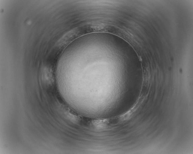 X0000067830136200604131210