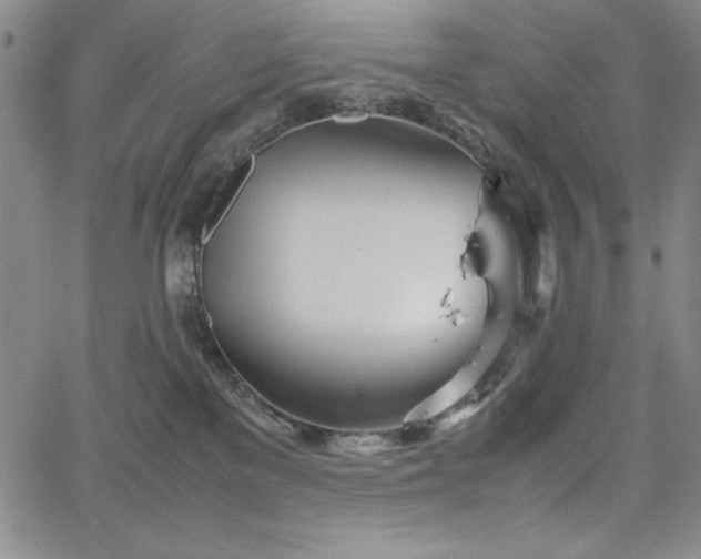 X0000067830137200604131210