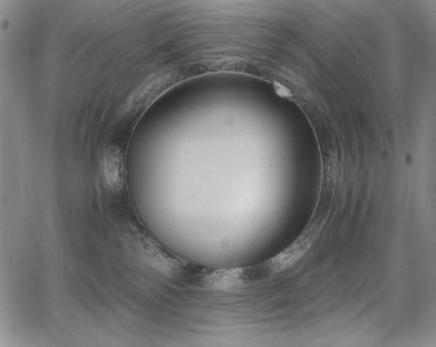 X0000067830138200604131210