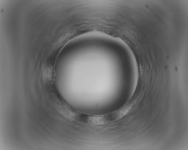 X0000067830139200604131210