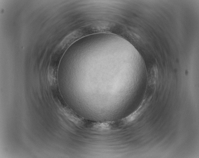 X0000067830140200604131210