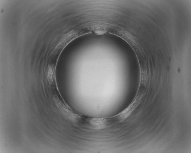 X0000067830142200604131210