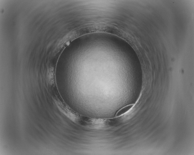 X0000067830144200604131210