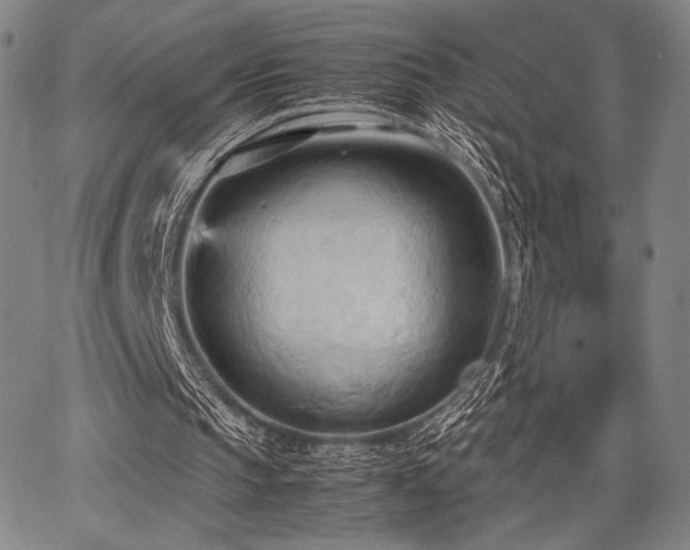 X0000067830145200604131209