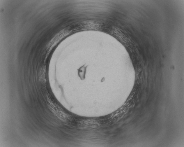 X0000067830146200604131209