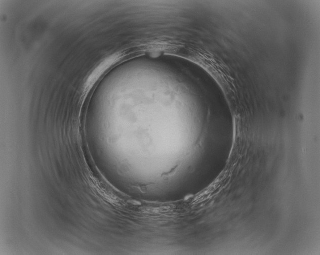 X0000067830147200604131209