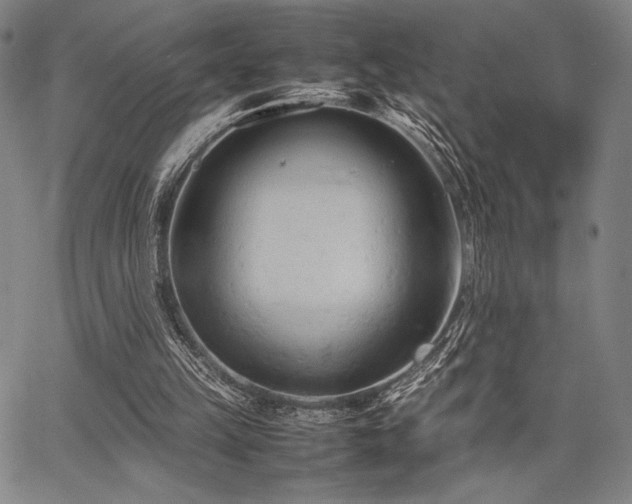 X0000067830149200604131209