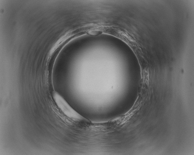 X0000067830150200604131209