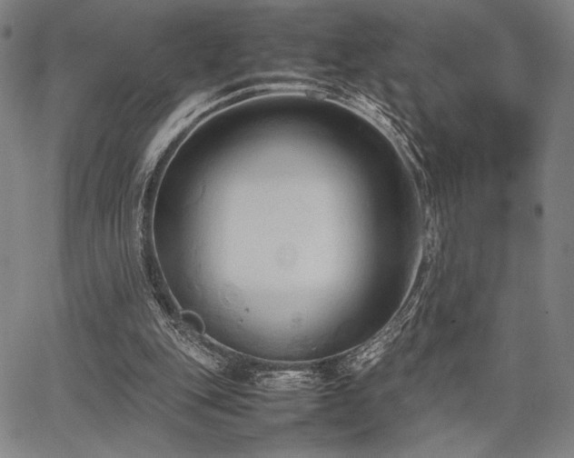 X0000067830151200604131209