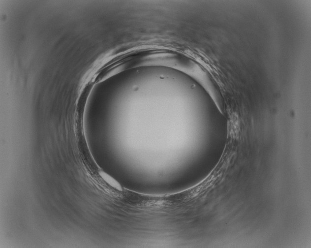 X0000067830152200604131209