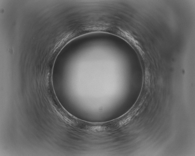 X0000067830153200604131209