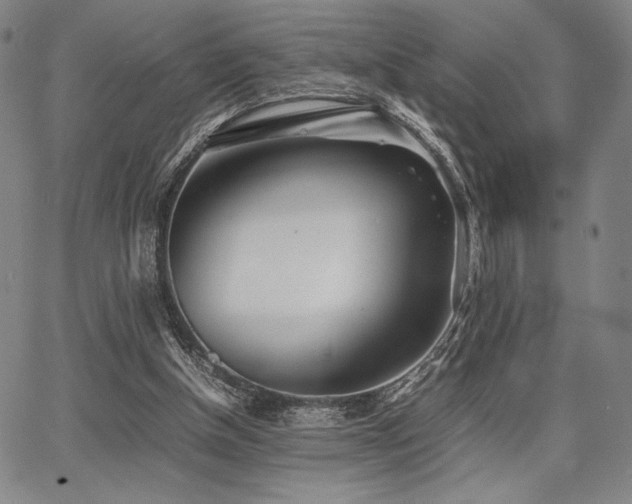 X0000067830154200604131209