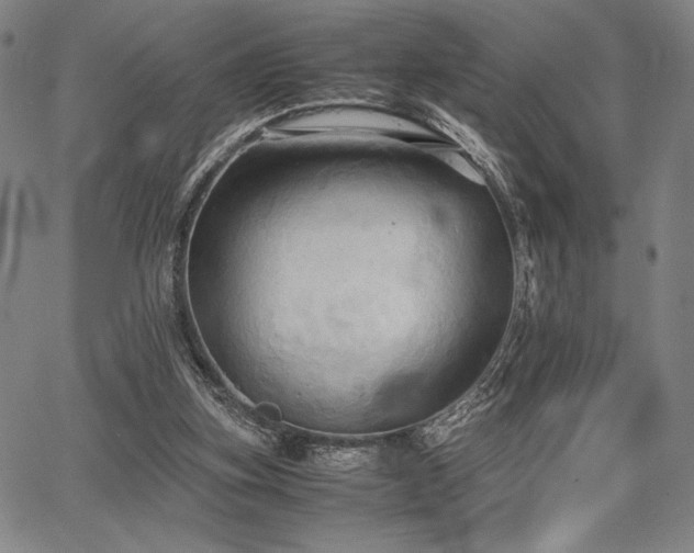 X0000067830155200604131209