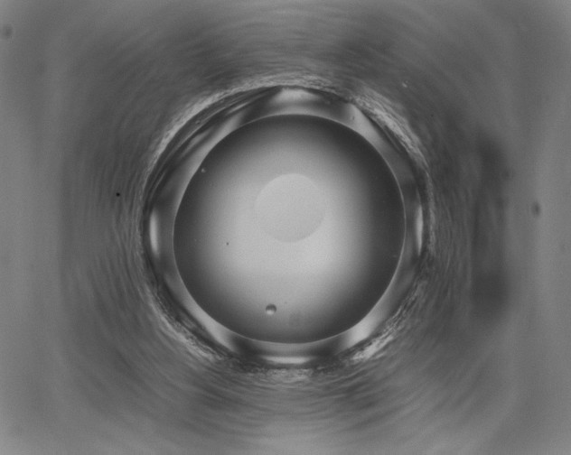 X0000067830156200604131209