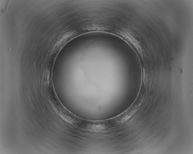 X0000067830157200604131209