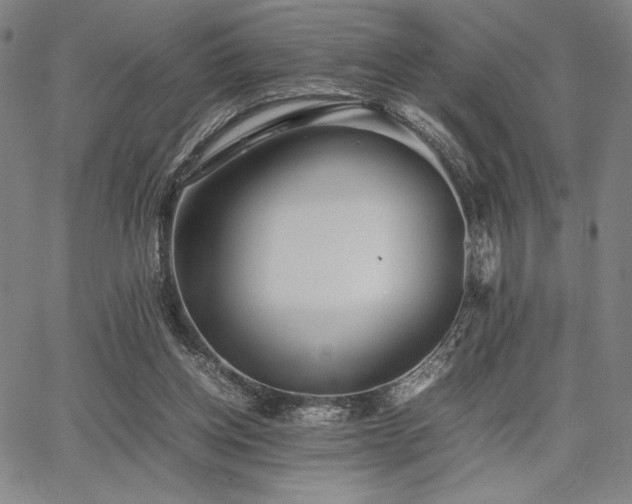 X0000067830158200604131210