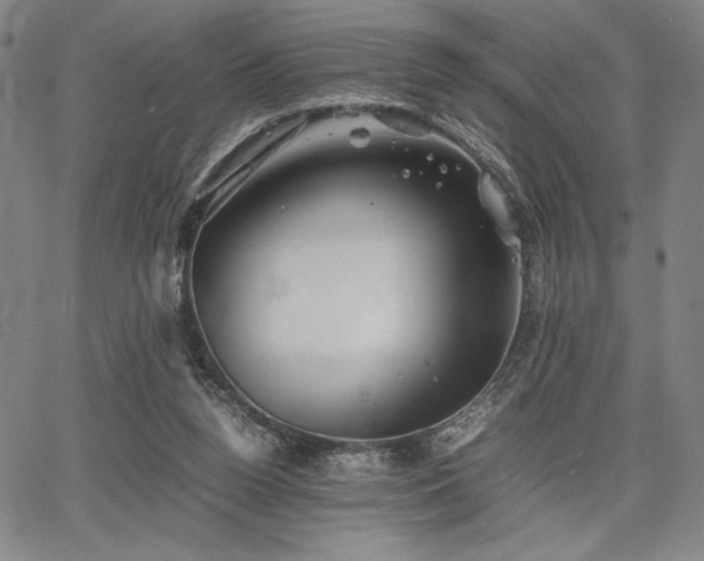 X0000067830160200604131210