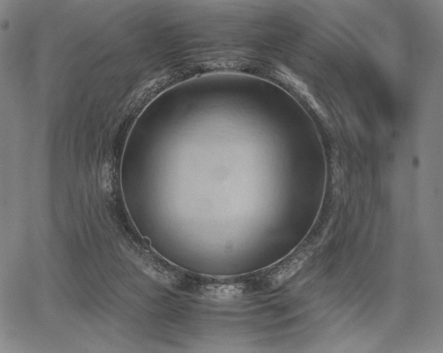 X0000067830161200604131210