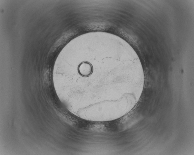 X0000067830162200604131210