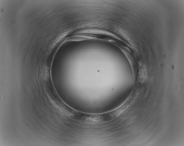 X0000067830164200604131210