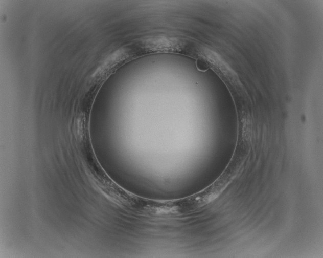 X0000067830165200604131210