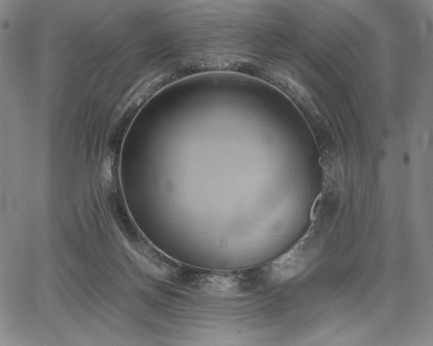 X0000067830166200604131210