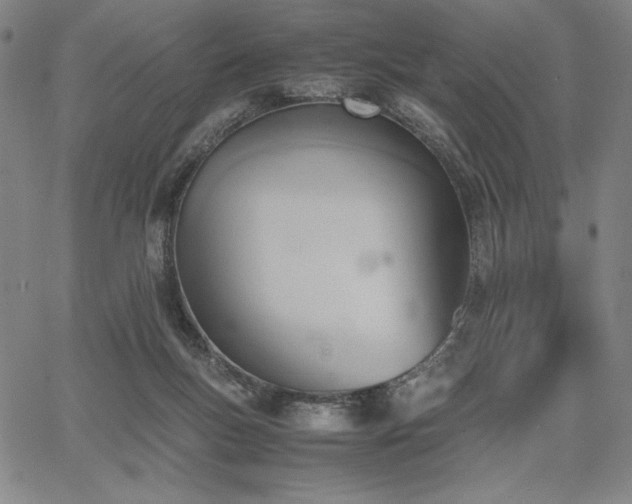 X0000067830167200604131210