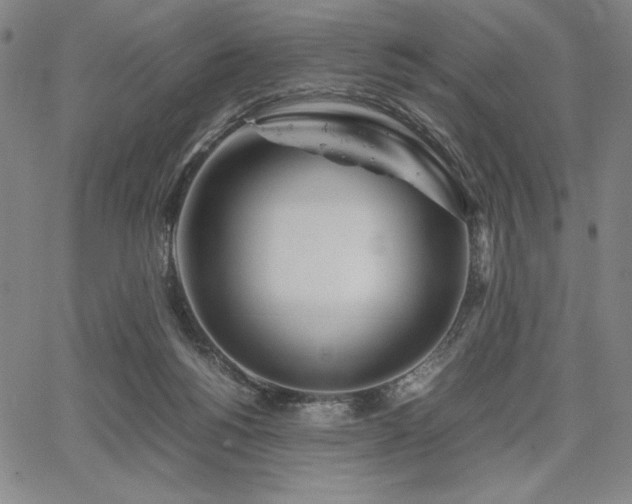 X0000067830168200604131210