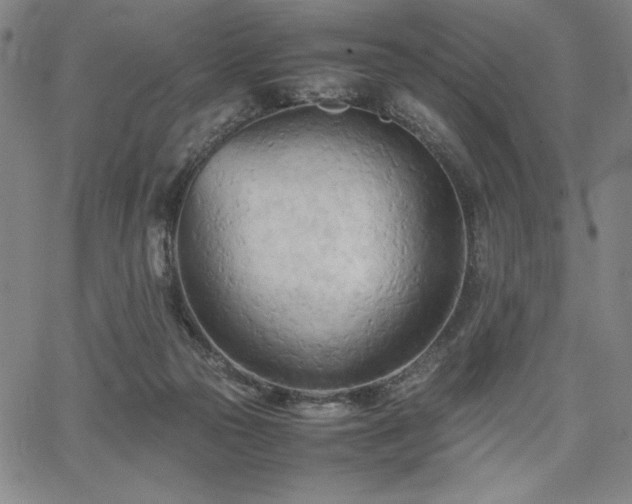 X0000067830169200604131210