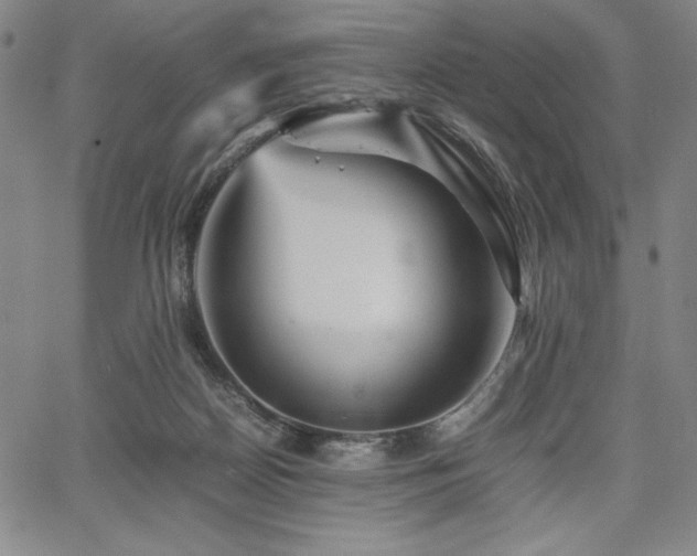 X0000067830170200604131210