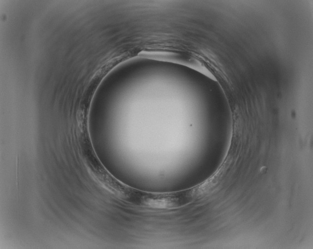 X0000067830171200604131210