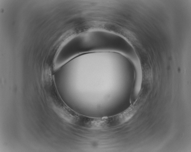 X0000067830172200604131210