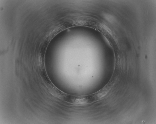 X0000067830173200604131210