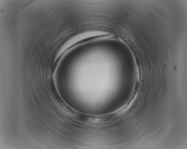 X0000067830174200604131210