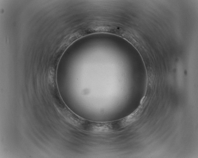 X0000067830175200604131210