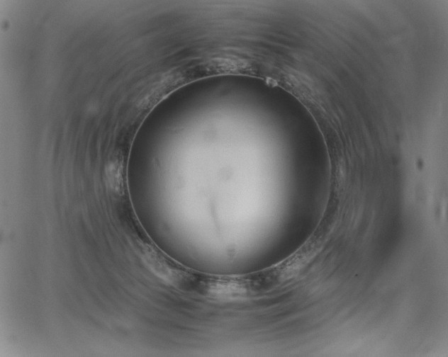 X0000067830177200604131210