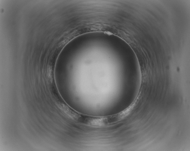 X0000067830178200604131210