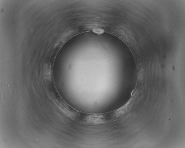 X0000067830179200604131210