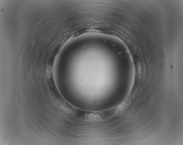 X0000067830180200604131210